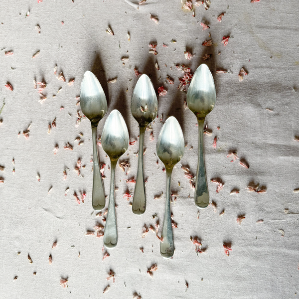 Set of 5 Grapefruit Spoons