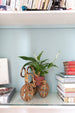 vintage rattan tricycle plant holder