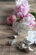 Set of 6 Silver Swan Name Holders