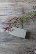 Mirrored Trinket Box with Hinged Lid