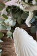 Elongated Shell Dish