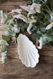 Elongated Shell Dish