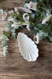 Elongated Shell Dish