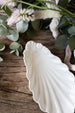 Elongated Shell Dish