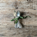 Antique Spoons