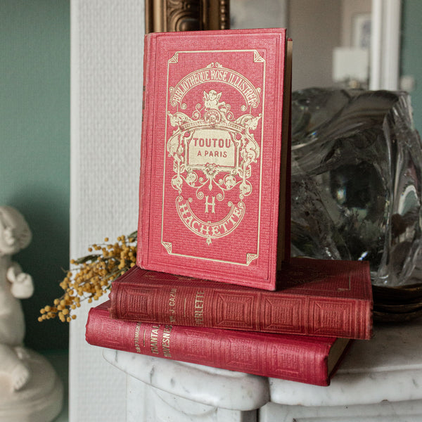 Rose Illustrated Library - Hachette Books