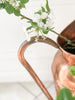 Oversized Copper Pitcher
