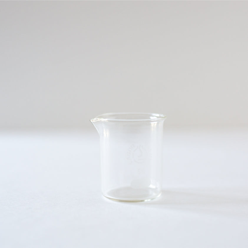 Antique Laboratory Glass Beaker Madame de la Maison